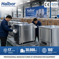 Congélateur compact commercial Haibor, refroidissement par air, affichage numérique, dégivrage automatique, 1 porte, 5 étagères, en acier inoxydable 304