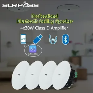 BTF31 525 pulgadas para altavoces de techo, sistema de cine en casa con amplificador digital Clase <span class=keywords><strong>D</strong></span> integrado, crossover de audio bidireccional para el hogar - Product Image 3