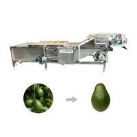 Fruitverwerkingsinstallatie machine avocado reiniging en sortering groenteverwerkings- en verpakkingslijn