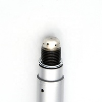 Bougies d'allumage préchambre MWM TCG 2020 V12 V16 V20 remplacement des moteurs au gaz naturel pour 12452074/12452828/12452835