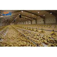 Cobertizo de granja avícola de pollo de engorde de acero prefabricado de diseño de bajo precio para 10000 pollos