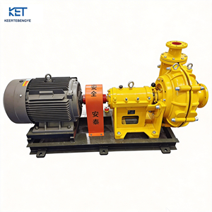 Pompe centrifuge horizontale pour sable et boue, fournie par l'usine, utilisée pour le traitement et le transport du sable minéral et des boues. - Product Image 1