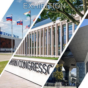 Piezas de caldera de tubo de agua, 12 toneladas, 8 Tph, sierra de polvo, manómetro de hierro, caldera de vapor de madera - Product Image 5