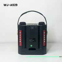Speaker Bluetooth KTV Genggam Isi Ulang OEM dengan 2 Mikrofon Nirkabel, Daya Tahan Baterai Lama, RGB untuk Bernyanyi Anak