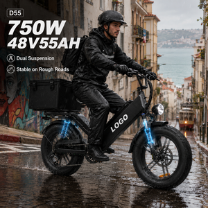 Bicicleta Eléctrica de Reparto D55, 750W, Neumático Grueso de 20'', E-MTB, 48V55Ah, 240km de Autonomía, Bicicleta de Carga OEM, Estable en Caminos Difíciles, Venta al Por Mayor de Fábrica - Product Image 1