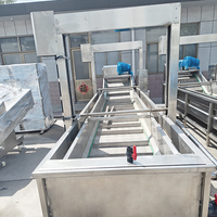 Commerciële bubbelwasmachine met recirculerend water voor het reinigen van fruit, groenten, maïs, noten en het ontdooien van diepvriesproducten