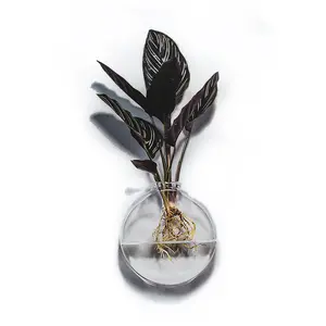 Wholesale Cheap Glass Vase with Hook to Hang on Wall