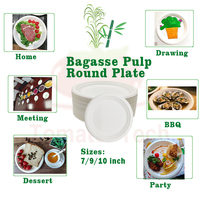 Assiettes en bagasse conformes PPWR, 9 pouces, compostables, robustes, jetables, compatibles micro-ondes, sans BPA, pour fêtes, traiteurs et restaurants