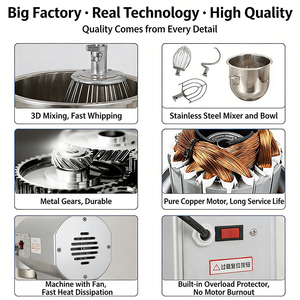 Impastatrice Professionale ad Alta Coppia, Mixer <span class=keywords><strong>per</strong></span> Impasti Pesanti, Ciotola in Acciaio Inox da 30L, 3 Velocità - Product Image 3