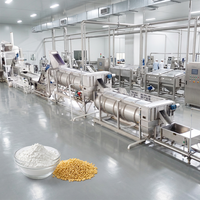 Global Trending Potato Flakes Production Line Turnkey Solution for Instant Mashed Potato Rosti Bakery Ingredient Factory