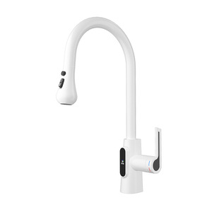 Modern Thermostatic Kitchen Faucet Single Handle Deck Mounted Ceramic Valve Core Pull Out Rotatable Telescopic Sink - Product Image 3