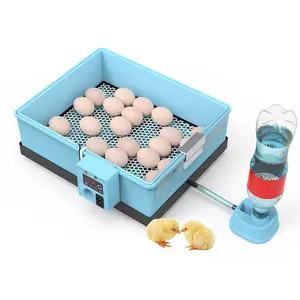Home Use Small Size 20/30/36/56/66 Capacity Incubator Hatcher Eggs Incubators
