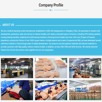 Simulador de Maniquí DARHMMY para Práctica de Auscultación y Palpación Cardiopulmonar, Totalmente Automático y Autónomo, Modelo BOU/Z990