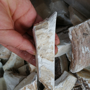 Lu jiao shuang bois dégélatinés séchés naturels Cornu <span class=keywords><strong>Cervi</strong></span> Degelatinatum à vendre - Product Image 4