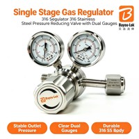Régulateur de pression d'azote à haute pression avec deux manomètres, régulateur de gaz haute pression en acier inoxydable SS316L, GPL, Hélium, divers gaz, usage en laboratoire