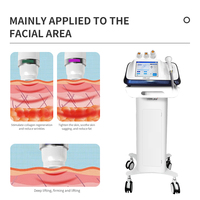 Equipo Coreano de Rejuvenecimiento Facial Ultrasónico de Alta Energía, Funciones Antienvejecimiento, Cepillo Tipo Martillo con Microfrío/Microcalor