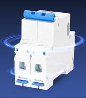 Disjoncteur miniature CHINT CB-60A CB-125A AC&DC 1P 2P 32A 63A 100A pour énergie solaire nouvelle génération