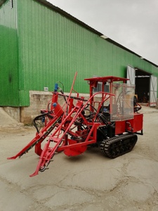 Máquina cosechadora <span class=keywords><strong>de</strong></span> <span class=keywords><strong>caña</strong></span> <span class=keywords><strong>de</strong></span> azúcar <span class=keywords><strong>de</strong></span> alta eficiencia, con orugas <span class=keywords><strong>de</strong></span> goma, todo terreno, <span class=keywords><strong>de</strong></span> baja rotación y baja dañina para el suelo, directa <span class=keywords><strong>de</strong></span> fábrica - Product Image 3