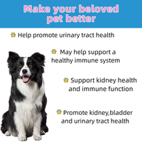 Complément alimentaire pour animaux de compagnie OEM Premium Fed Collagen Drop pour chien et chat, pour la peau et le pelage, les articulations, les ongles, soulagement des allergies, complément de collagène liquide
