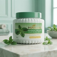 OEM Menthe Verte Rafraîchissante Exfoliante Élimine les Peaux Mortes Éclaircissante Hydratante Masque Exfoliant à l'Argile Visage et Corps pour Hommes et Femmes