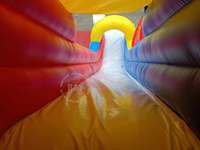Arrière-cour commerciale grand toboggan sec adulte toboggan enfants toboggan pas cher Tropical gonflable toboggan sec équipement de location de fête