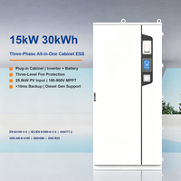 Système de batterie solaire tout-en-un triphasé 15 kW 30 kWh LiFePO4 BMS CAN IP54 pour la maison et le stockage C&I de petite taille