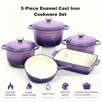Ensemble de 5 casseroles en fonte antiadhésives, compatibles avec les cuisinières à induction et à gaz, pour la cuisine à domicile