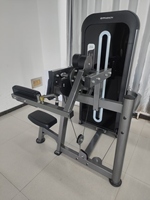 Équipement de gym à usage commercial, machines Delt de fitness haut de gamme, vente en gros directe d'usine