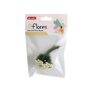 Bouquet di Fiori Secchi ILAN Flores Cream 12 Pezzi per Decorazione - Product Image 2