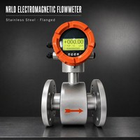 Flowmeter Elektromagnetik OEM ODM NRLD Digital Stainless Steel Flange Meter Cairan Merek RUIJI untuk Penggunaan Pabrik