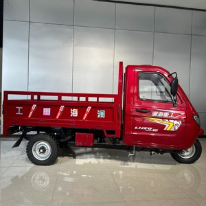 Tricycle WangHu Adulte Kenya de Haute Qualité, Moteur Puissant <span class=keywords><strong>200cc</strong></span> à Refroidissement Liquide, Châssis Ouvert, Charge Utile <span class=keywords><strong>2T</strong></span> 1.3x2M - Product Image 2