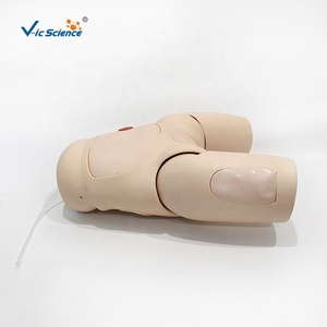 Modèle avancé de cathétérisme féminin avec urètre et bassin simulés pour la pratique clinique des étudiants en soins infirmiers et l'enseignement médical - Product Image 6
