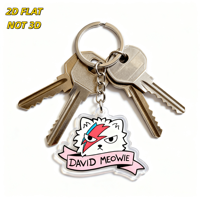 Porte-clés en acrylique David Meowie, chat stylé avec éclair et bannière rose, breloque transparente durable, accessoire amusant style Pop Art