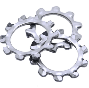 Prezzo all'ingrosso denti <span class=keywords><strong>interni</strong></span> esterni serrato blocco Washe zinco placcato blu zinco zinco bianco blocco rondella - Product Image 5