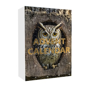 Calendario de Adviento con Decoración de Animales para el Árbol de Navidad, Adornos Acrílicos de Dibujos Animados, Caja Sorpresa con Cuenta Regresiva para las Fiestas - Product Image 5