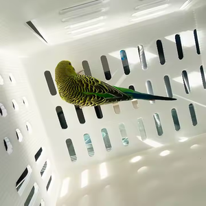 Tác động tốt sức đề kháng có thể gập lại PP rỗng tấm hộp Polypropylene nhựa hộp lưu trữ cho chim Giao thông vận tải - Product Image 6