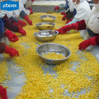 IQF Diepvries Mango Blokjes 10x10mm Zoete Gouden Mango Stukjes Bulk Diepvries Mango Fruit BRC HACCP Gecertificeerd voor Smoothie Yoghurt Sap