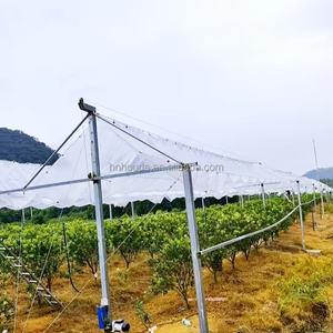 Tissu tissé en PE stabilisé aux UV, protection anti-goutte, film <span class=keywords><strong>de</strong></span> protection contre la pluie, découpe, bâche <span class=keywords><strong>de</strong></span> <span class=keywords><strong>serre</strong></span> pour vergers, bord renforcé - Product Image 1