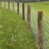 Cerca Galvanizada Reforzada para Granja, 4 pies x 164 pies, Protección para Ganado, Seguridad para Patio y Pasto, Construcción Resistente