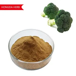 HONGDA Kiểm Tra Tiêu Chuẩn 10% Chiết Xuất Bông Cải Xanh Sulforaphane 98% Bột