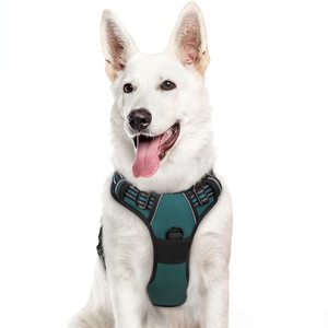 Fabricants de harnais pour chiens Chiot marchant avec gilet réfléchissant et poignée de contrôle facile Harnais pour animaux de compagnie pour les fabricants de harnais pour chiens - Product Image 5