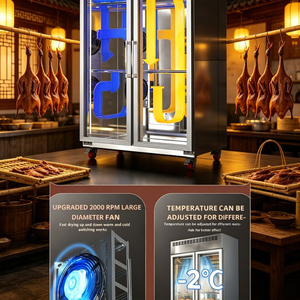 Armoire de séchage à air grande capacité, double porte, réfrigérateur à température constante, cabine professionnelle de déshydratation pour bœuf et poulet - Product Image 4