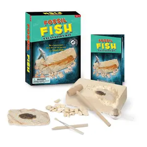 Educación arqueología Real peces fósiles Kit de excavación de aprendizaje para niños Kit de la ciencia Juguetes juguetes de los