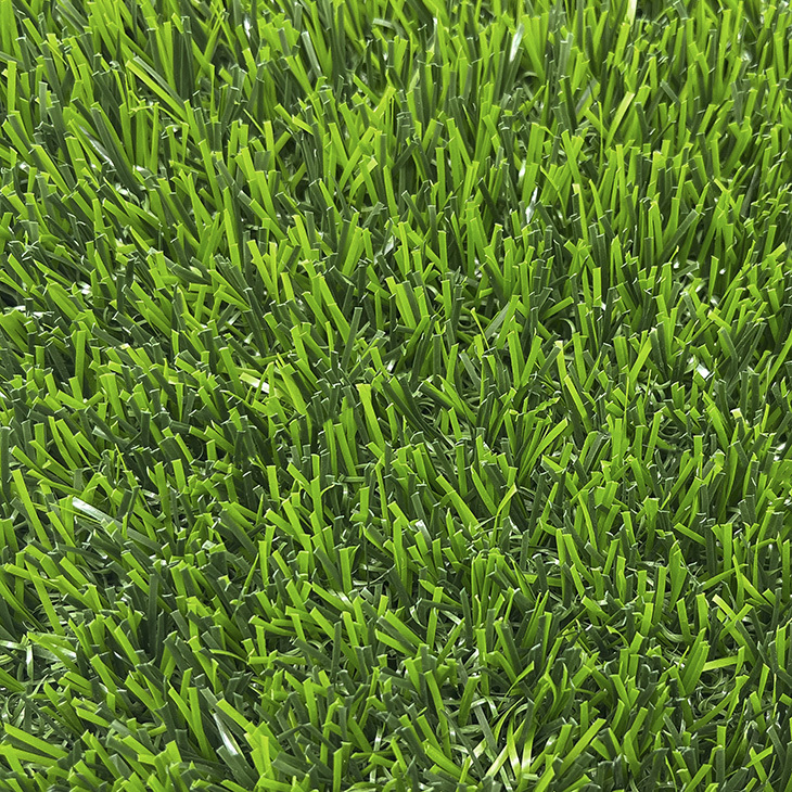 Fine Quality Domestic Grass Carpet for