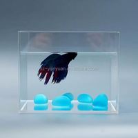 Fournisseur d'usine en gros clair personnalisé acrylique petit aquarium aquarium
