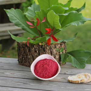 Cao cấp đông khô Cranberry bột 100% tinh khiết tự nhiên giàu chất chống oxy hóa & Vitamin C cho hỗ trợ miễn dịch - Product Image 5