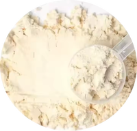 Suplemento de Proteína de Suero de Leche Sin Azúcar, Sin Cafeína y Antioxidante, Precio de Fábrica OEM, para el Crecimiento Muscular de Adultos, Nutrición Deportiva