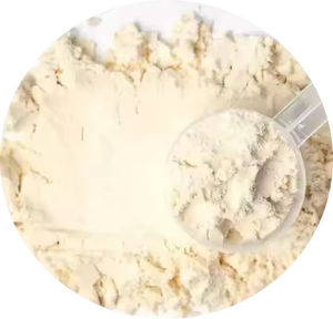 Poudre de protéines de lactosérum à prix d'usine OEM pour le soutien musculaire des adultes - Product Image 5