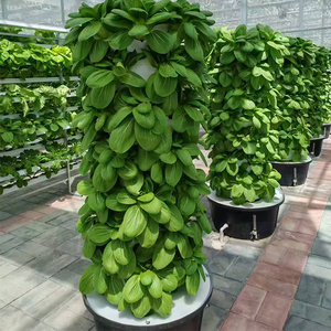 Hydroponisch Petal Tower-systeem: Verticale, bloemvormige kweektoren voor groenten en kruiden – apparatuur voor bodemloos kweken - Product Image 3