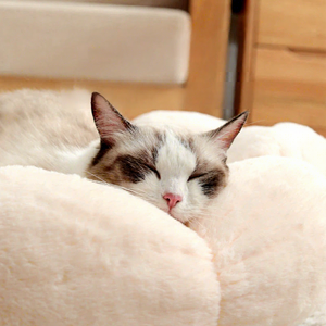 Einfaches und Stilvolles Herbst-Warmes Plüsch Katzen- und Hundebett Kaninchenfell Rutschfest Halbgeschlossen Einfarbiges Katzen- und Hundebett - Product Image 4